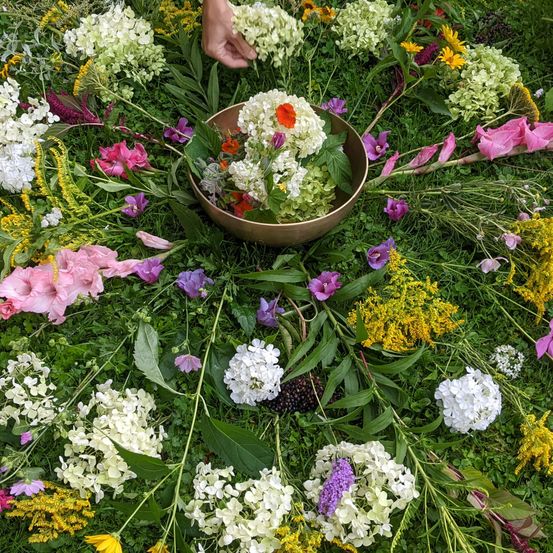 Eine Person ordnet verschiedene Blumen und Blätter auf dem Gras an und bildet dabei ein kreisförmiges Muster. Die Blumen haben verschiedene Farben und einige haben Blätter. Die Blumen sind in einer Schüssel in der Mitte des Kreises angeordnet.