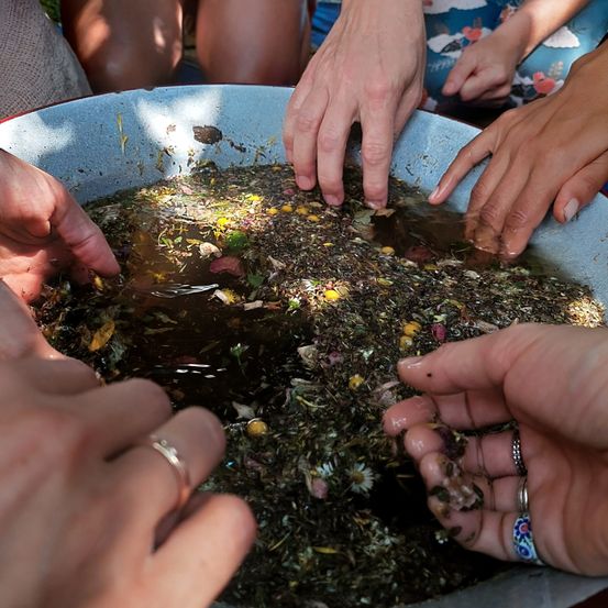 Mehrere Hände tauchen in eine große Schüssel, die mit trübem Wasser und Pflanzenmaterial gefüllt ist.