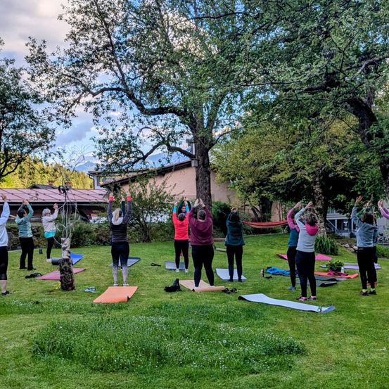 Eine Gruppe von Menschen praktiziert Yoga auf einer Rasenfläche mit großen Bäumen im Hintergrund. Sie alle stehen mit erhobenen Händen nach vorne ausgerichtet.