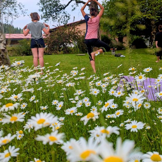 Zwei Frauen praktizieren Yoga in einem Feld voller Gänseblümchen. Eine Frau steht, während die andere eine Yoga-Pose einnimmt. Sie befinden sich in einem Garten mit einem Gebäude und Bäumen im Hintergrund.