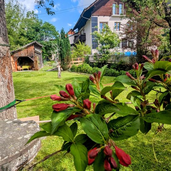 Ein gepflegter Garten mit blühenden roten Blumen und einem Haus mit Solarmodulen im Hintergrund.
