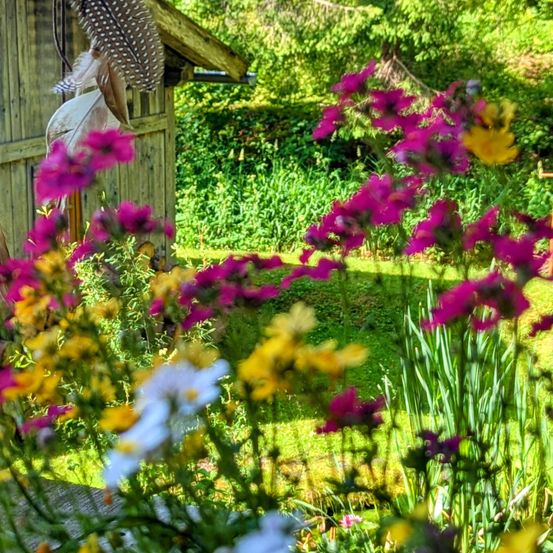 Ein Holzhaus ist von leuchtenden Blumen umgeben. Federn hängen vom Dach, und das Grün ist üppig und dicht.