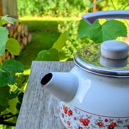 Ein weißer Teekessel mit Blumendesign steht auf einem Holztisch in einem Garten mit grünen Blättern und verschwommenem Hintergrund.