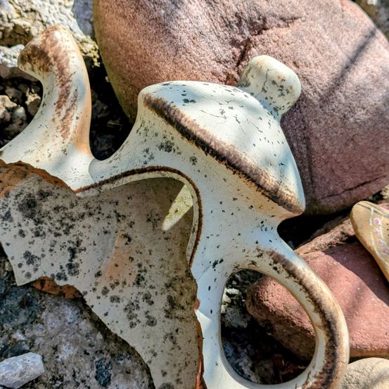 Ein zerbrochenes Stück eines weißen Keramikobjekts liegt auf dem Boden zwischen Felsen. Das Objekt hat einen Griff und ein gebogenes Design.