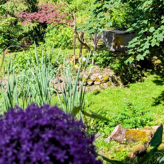 Ein üppiger Garten mit leuchtend violetten Blumen im Vordergrund, hohen Bäumen und einer Betonstruktur. Der Rasen ist gut gepflegt, und es gibt Moosflecken auf dem Boden.