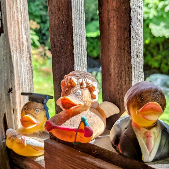 Drei Gummienten sitzen auf einer Fensterbank. Eine trägt eine Abschlussmütze, eine andere einen Fliegenknoten und die dritte ist in einem Anzug gekleidet.