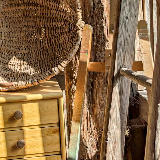 Eine Holzschublade mit einem Korb oben, gelehnt an eine Holzkonstruktion mit einem Baumstamm in der Nähe.