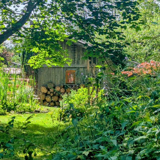 Ein Holzhaus mit einem Fenster und einer Tür ist von einem Garten mit Pflanzen und Bäumen umgeben. Es hat einen Stapel Holzscheite davor.