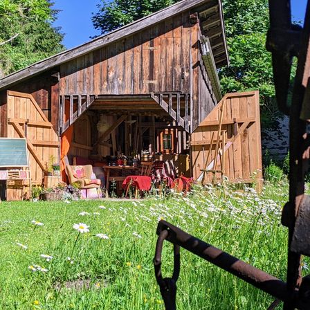 Eine rustikale Holzscheune mit offenen Türen, gefüllt mit Möbeln und Werkzeugen, umgeben von einer Wiese mit Gänseblümchen.