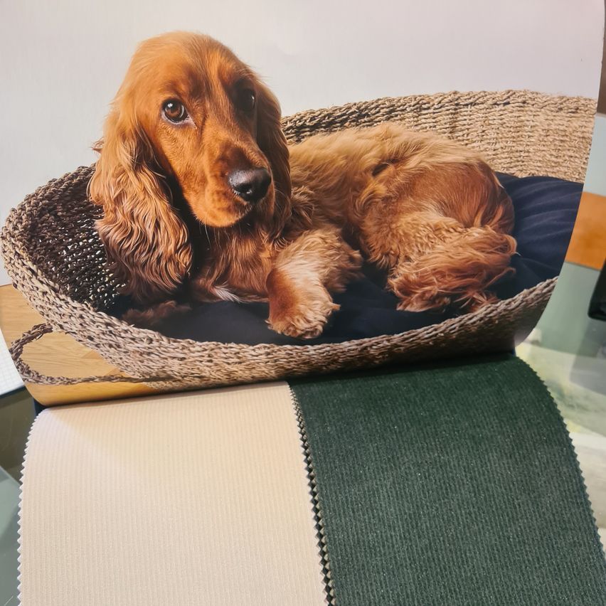Ein brauner Hund mit langen Ohren liegt auf einem geflochtenen Korb mit einer blauen Kissen. Der Korb steht auf einer Holzoberfläche.