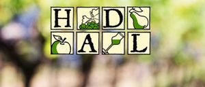 Ein grafisches Bild zeigt die Buchstaben D, A, L in einem Raster mit Symbolen von Birne, Trauben, Windmühle und Weinglas.