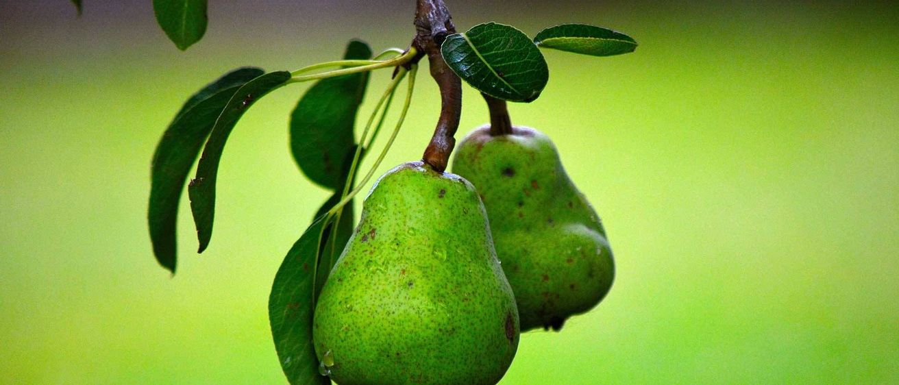 v1_migrated_image_4551393