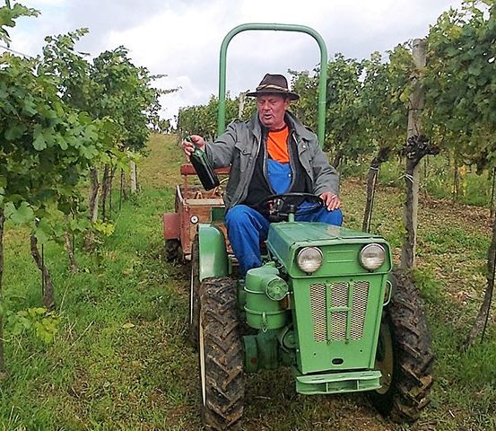 Ein älterer Mann fährt mit einem grünen Traktor durch ein Weingut und hält eine Flasche Wein in der Hand. Er trägt einen Hut und blaue Latzhosen.