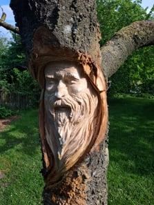 Ein Baumstamm mit einem geschnitzten Gesicht eines alten Mannes mit Bart und Schnurrbart, in einem Park mit grünem Rasen und Bäumen im Hintergrund.