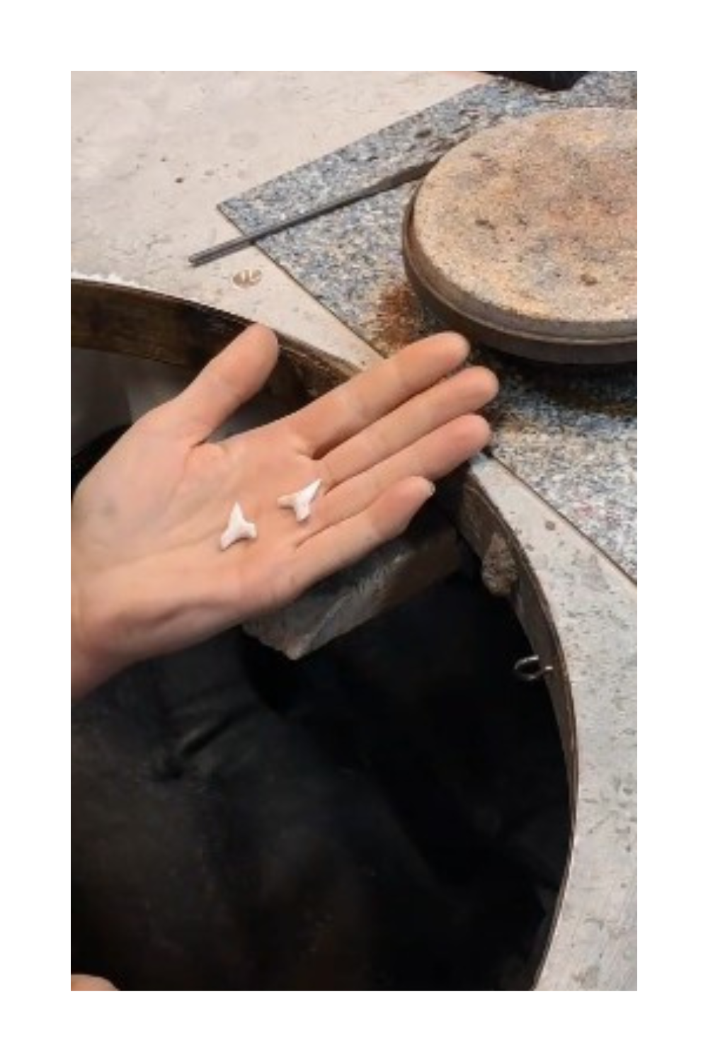 Eine Hand hält zwei kleine weiße Objekte, möglicherweise Zähne, gegen eine Marmorarbeitsplatte mit verschiedenen Werkzeugen.
