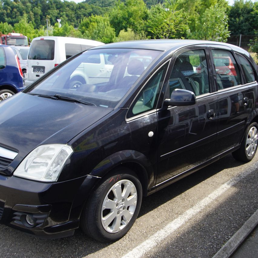 Ein schwarzer Wagen steht in einem Parkplatz neben anderen Fahrzeugen, umgeben von Grünpflanzen.