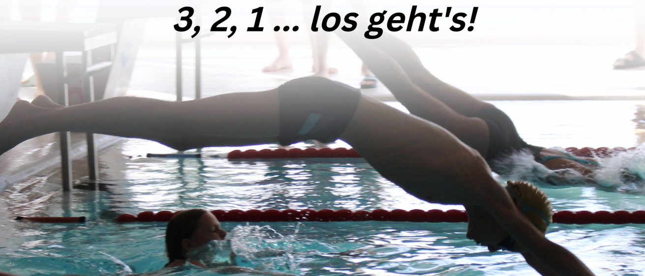 Bild enthält, Person, Swimming, Water, Adult, Female, Woman, Diving, Swimming Pool, Face, Head
