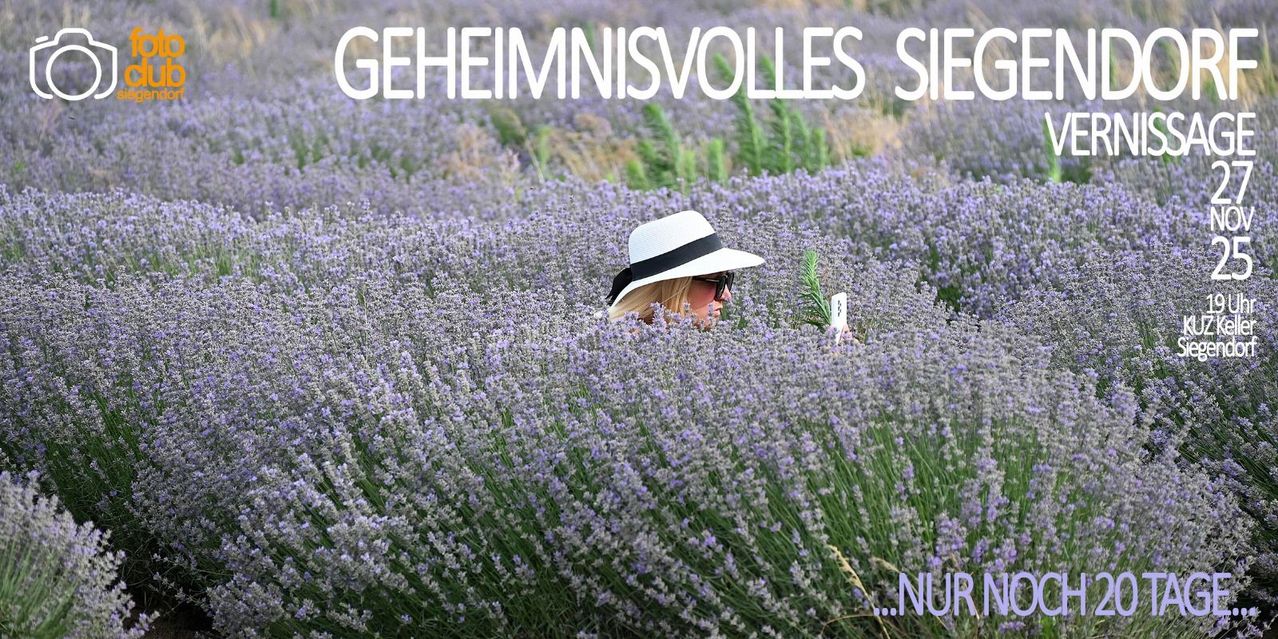 Eine Frau mit Hut und Sonnenbrille versteckt sich in einem Lavendelfeld. Oben steht das Wort 'geheimnisvolles'.