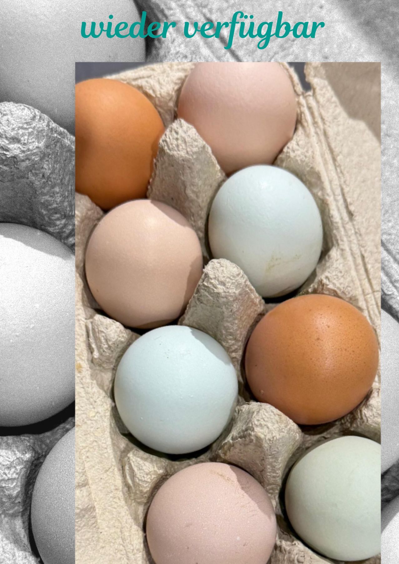 Ein Nahaufnahme von Eiern in einem Eierkarton, die eine Vielzahl von Farben von hellblau bis tiefbraun zeigen.