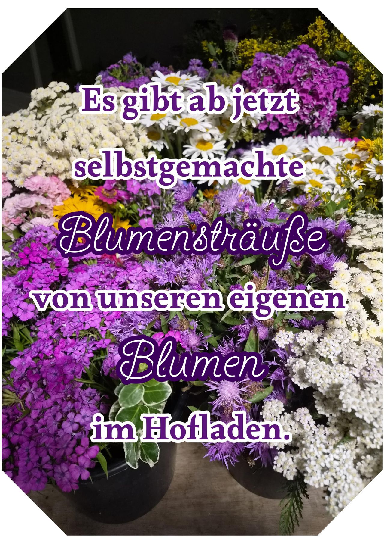 Das Bild zeigt verschiedene selbstgemachte Blumensträuße aus den Blumen im Hof.