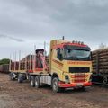 Ein gelber Volvo-Lkw mit einem roten Kran steht auf einem mit Holz gefüllten Parkplatz aus Erde.