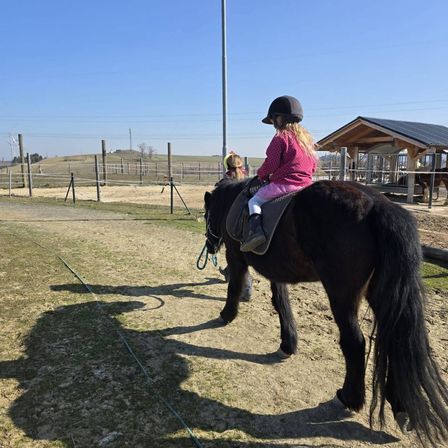Ein junges Mädchen in einer pinken Jacke und Helm reitet auf einem schwarzen Pony in einem Pferdegestüt mit einem kleinen Schuppen im Hintergrund.