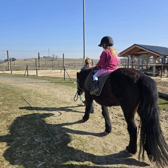 A young girl in a pink jacket and helmet rides a black pony in a horse ranch with a small shed in the background.