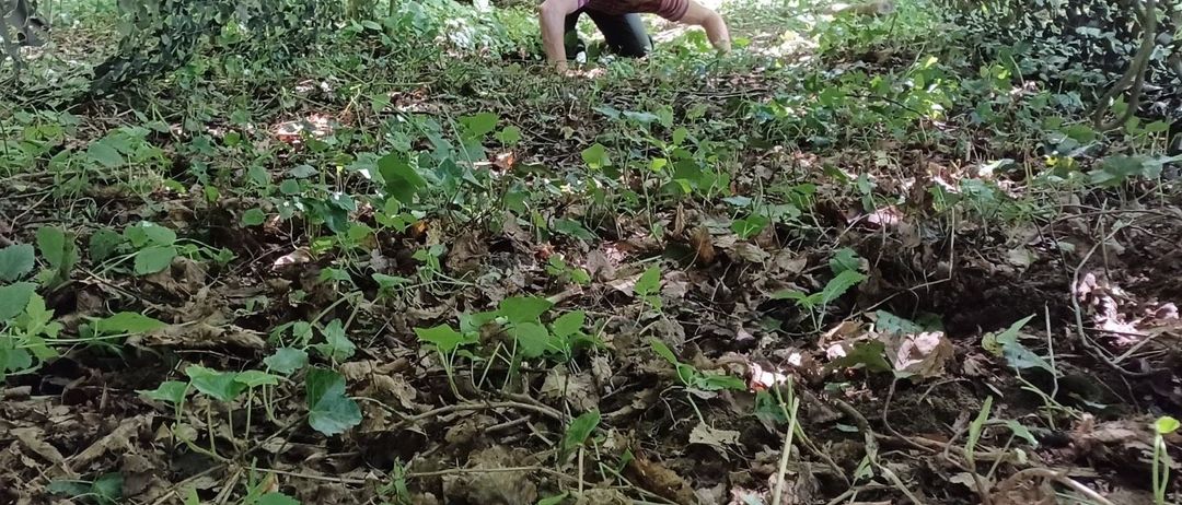 v1_migrated_image_43822277