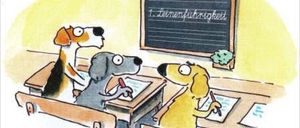 Drei Hunde sitzen in einem Klassenzimmer an Schreibtischen. Einer schreibt auf Papier, ein anderer hält einen Marker und die Tafel hat einen deutschen Text.