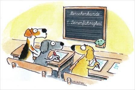 Drei Hunde sitzen in einem Klassenzimmer an Schreibtischen. Einer schreibt auf Papier, ein anderer hält einen Marker und die Tafel hat einen deutschen Text.