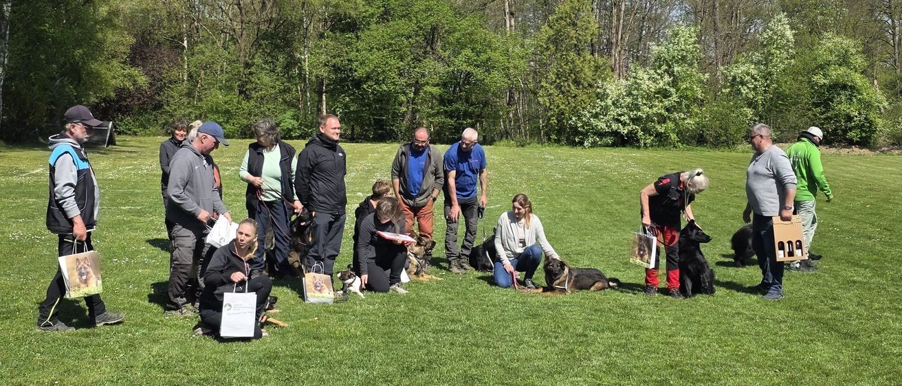 Menschen mit Hunden stehen in einem Feld, manche stehend, manche kniend. Sie scheinen sich auf eine Hundeveranstaltung vorzubereiten. Die Hunde sind angeleint und stehen neben ihnen.