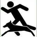 Hundesportverein Sulz, Alemannenstraße 54, 6832 Sulz-Logo
