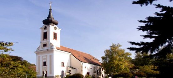 Eine weiße Kirche mit einem braunen Dach und einem hohen Turm mit einer Uhr. Sie ist von Bäumen und Büschen umgeben.