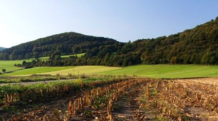 Ein Panoramablick auf eine ländliche Gegend mit einem grünen Feld, einem trockenen Feld und von Bäumen bedeckten Bergen. Der Himmel ist blau.