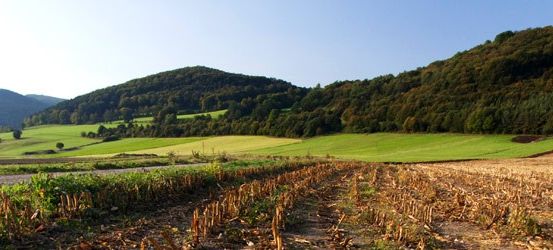 Ein Panoramablick auf eine ländliche Gegend mit einem grünen Feld, einem trockenen Feld und von Bäumen bedeckten Bergen. Der Himmel ist blau.