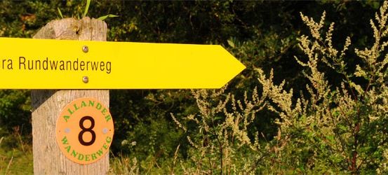 Ein gelber Wegweiser mit der Aufschrift 'Via Sacra Rundwanderweg', der nach rechts zeigt, steht auf einem Holzpfosten mit einem runden Etikett mit der Nummer 8. Er ist von hohen grünen Pflanzen und Bäumen umgeben.