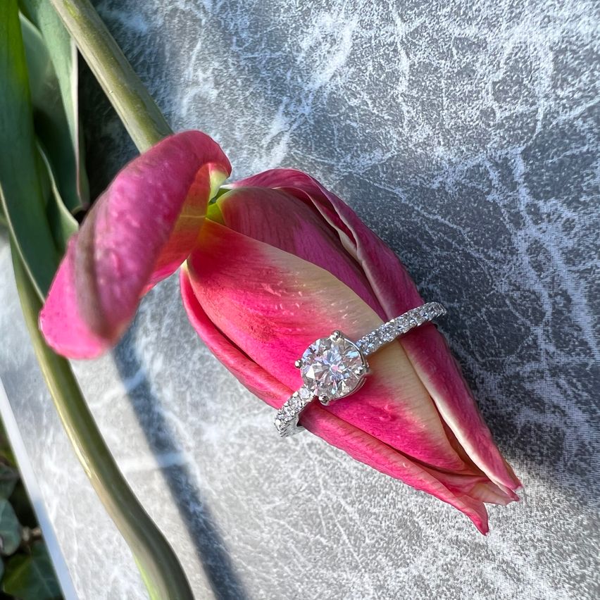 Bild enthält, Accessories, Diamond, Gemstone, Jewelry, Flower, Plant, Petal, Ring