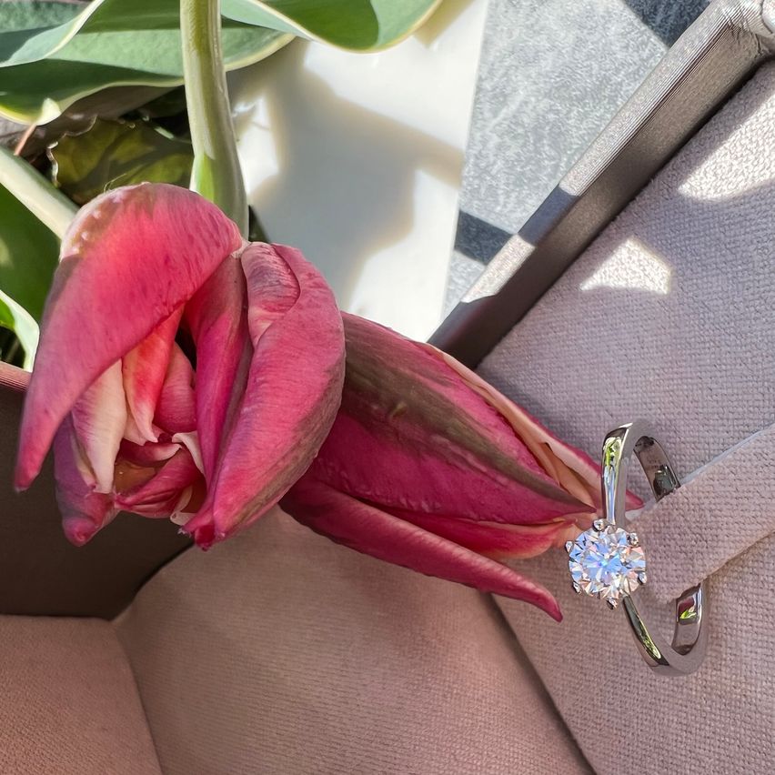 Bild enthält, Flower, Petal, Plant, Rose, Accessories, Geranium, Jewelry, Ring, Diamond, Flower Arrangement