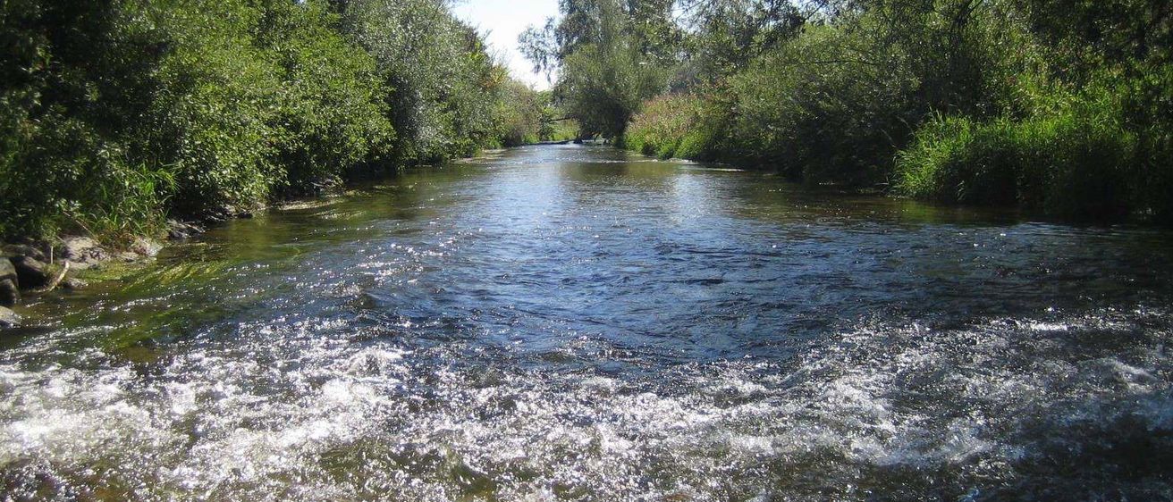 Outdoors, Nature, Water, Creek, Stream, Vegetation, Wilderness, River, Land, Woodland