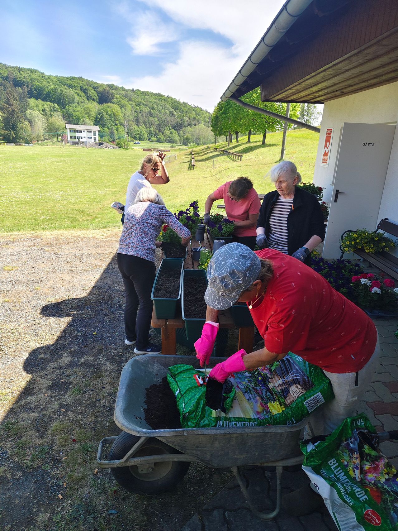 A group of elderly women are gardening outdoors. One woman is bending over a wheelbarrow, while others work on plants in pots. A building with a sign is behind them, and a bench is nearby.