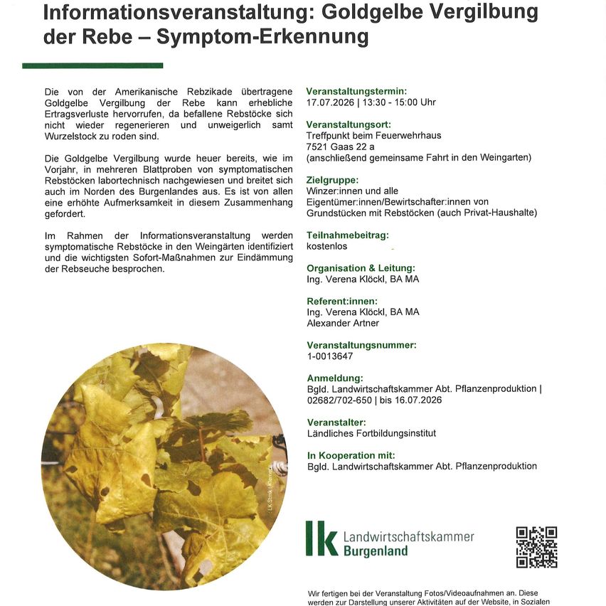 Ein Flyer für eine Veranstaltung über das goldene Vergilben der Rebstöcke, mit einem QR-Code und einem Bild von vergilbten Blättern. Die Veranstaltung wird von der Landwirtschaftskammer Burgenland organisiert.