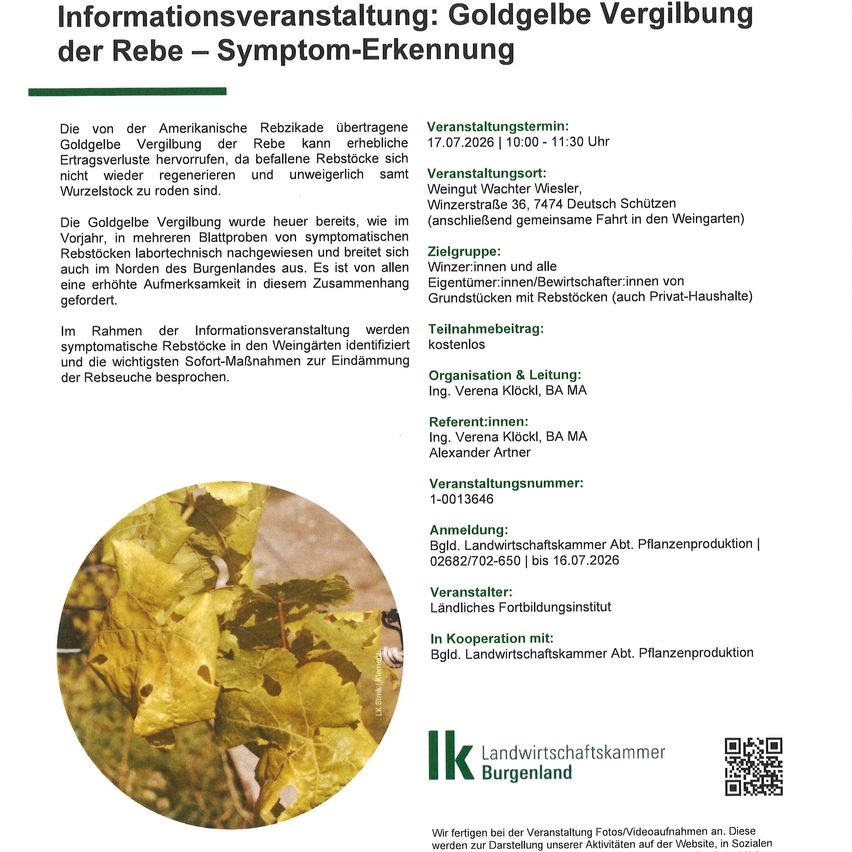 Ein Flyer für eine Veranstaltung über die Goldgelbe Vergilbung der Rebe, mit einem Bild einer Rebe mit gelben Blättern und Flecken. Die Veranstaltung wird von Ing. Verena Klöchli, BA MA, und Alexander Artner organisiert.