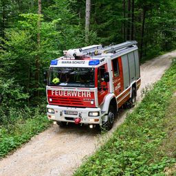 Freiwillige Feuerwehr Maria Schutz-Logo