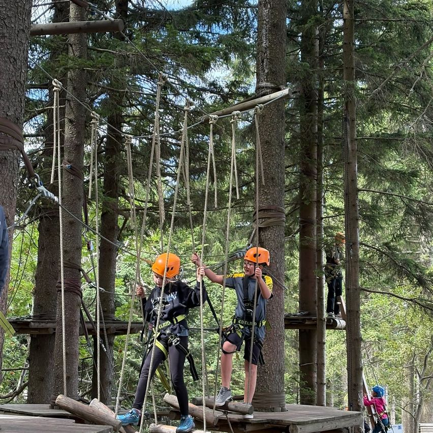 Two children in helmets climb a rope ladder in a forest. One holds onto a rope, the other grips a wooden platform. Trees surround them.