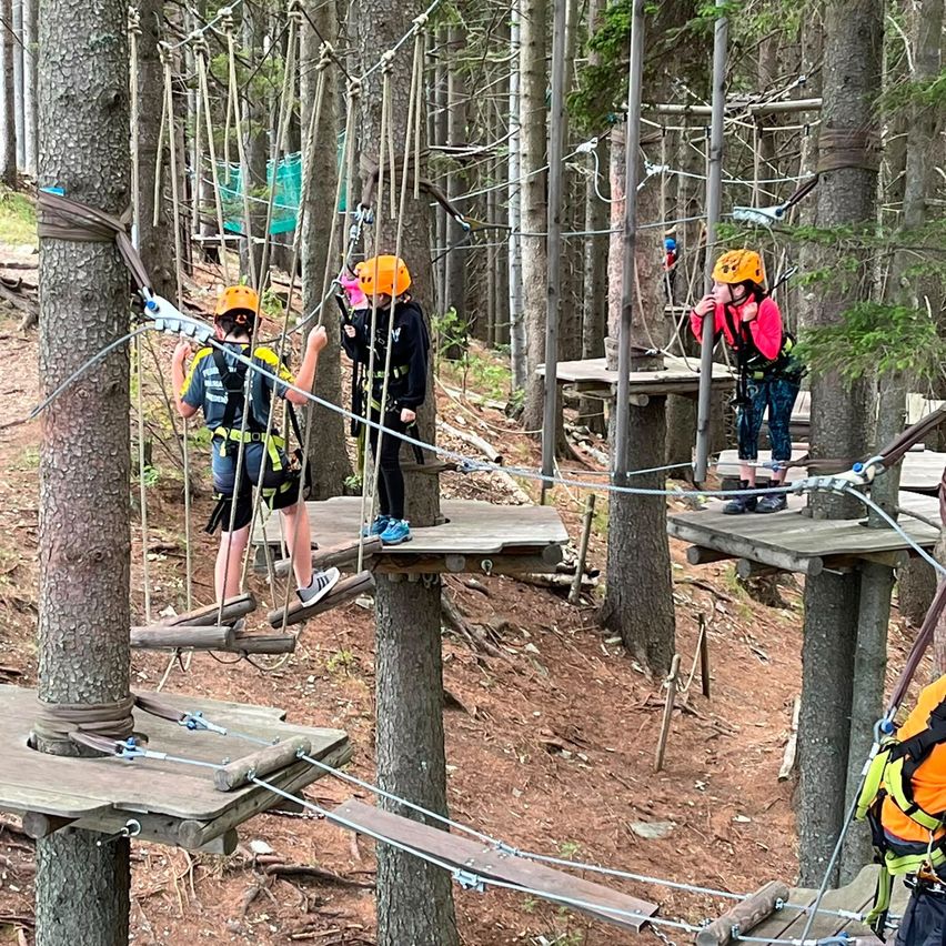 Four individuals are engaged in a tree-based obstacle course, wearing helmets and harnesses. They are navigating through wooden platforms connected by ropes.