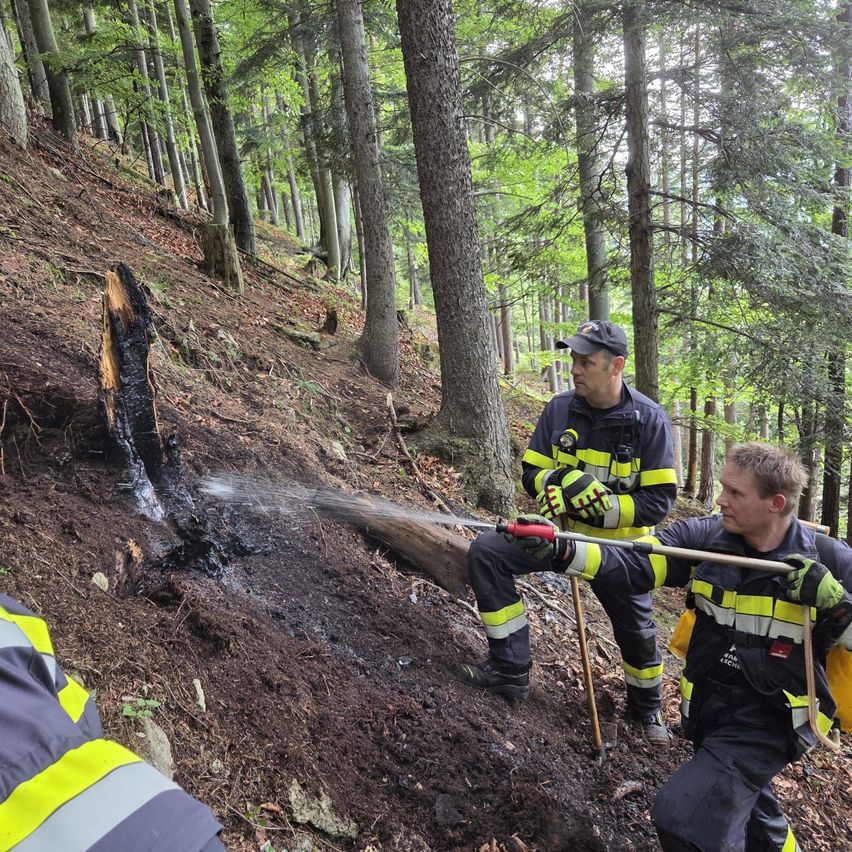 Zwei Feuerwehrleute löschen mit einem Schlauch ein Feuer in einem Waldgebiet. Einer sprüht Wasser, während der andere auf einem Baumstamm sitzt.