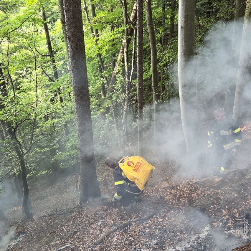 Zwei Feuerwehrleute in einem Wald löschen ein Feuer. Einer kniet mit einem gelben Behälter und der andere steht hinter ihm. Rauch steigt vom Boden auf und Bäume umgeben das Gebiet.