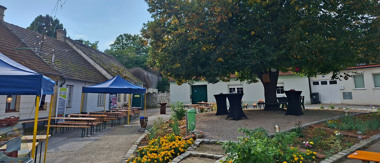 Ein Außenbereich mit einem blauen Zelt, Tischen und Bänken unter einem großen Baum mit gelben Blättern. Der Bereich ist von Pflanzen, Blumen und einem Mülleimer umgeben. Im Hintergrund steht ein Haus.