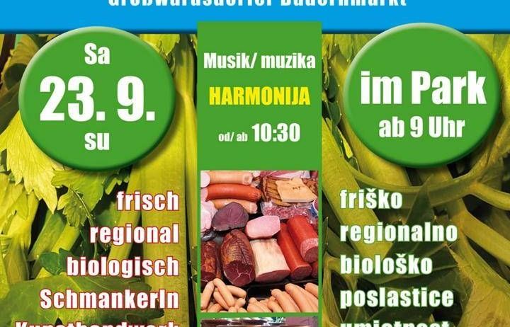 v1_migrated_image_71847266