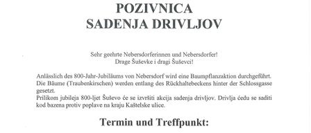 Die Einladung zur Baumpflanzzeremonie für das 800-jährige Jubiläum von Nebergdorf. Die Veranstaltung findet am 12. Dezember 2025 um 11:00 Uhr am Rückhaltebecken hinter der Schlossgasse statt. Teilnehmer sind eingeladen, sich am Schlossplatz zu treffen.